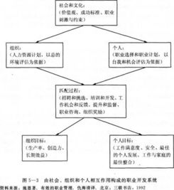 人力資源管理基礎知識內容,人力資源管理基礎知識要點(diǎn),人力資源管理基礎知識試題及答案