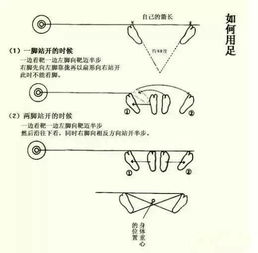 射箭教學(xué)基礎知識