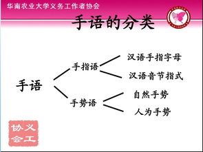 漢語(yǔ)的基礎知識,漢語(yǔ)基礎知識考試試題,小學(xué)漢語(yǔ)基礎知識