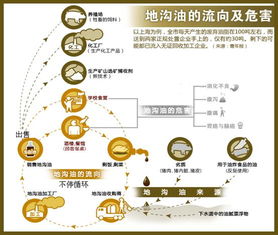 危害因素的基礎知識