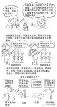 農藥基礎知識培訓,農藥基礎知識試題,農藥基礎知識及概念