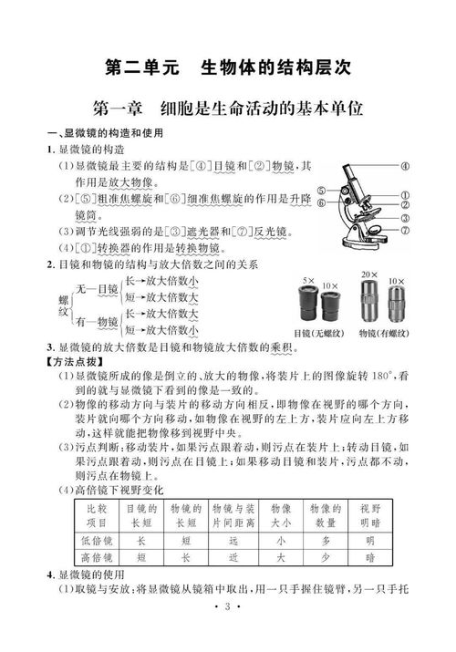 知識點(diǎn),初中,生物,基礎