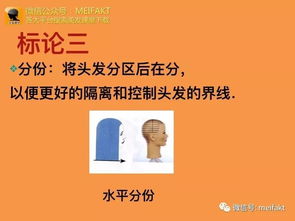 剪發(fā)基礎知識和基礎知識