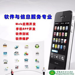 軟件與信息服務(wù)專(zhuān)業(yè)基礎知識